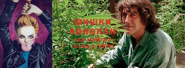 MDMA Заводоуковск