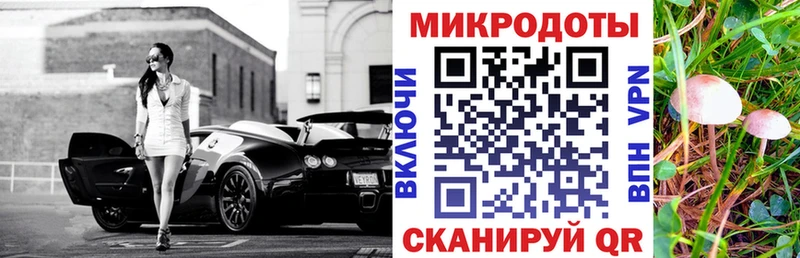 Псилоцибиновые грибы Psilocybe  Энгельс 